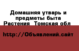 Домашняя утварь и предметы быта Растения. Томская обл.